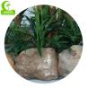 Buy cheap Aesthetic Lifelike 500cm Large Artificial Landscape Trees For Decoration from wholesalers