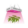Buy cheap 1000 Watt Full Spectrum LED Grow Lights For Indoor Hydroponics Plants from wholesalers