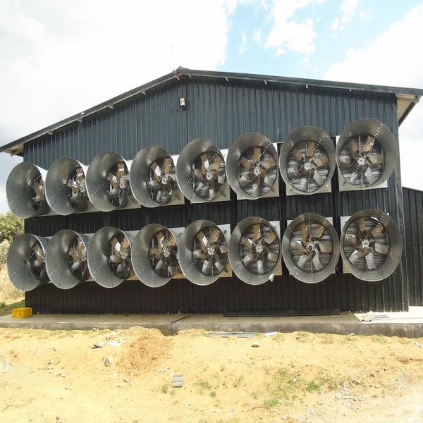 Buy cheap 46000m3/H Chicken Farm Industrial Ventilation Fan 1270mm Poultry Control Shed System from wholesalers