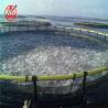 Buy cheap Plastic PE Bracket Pipe Clamp High Precision Virgin Material Sea Fishing from wholesalers