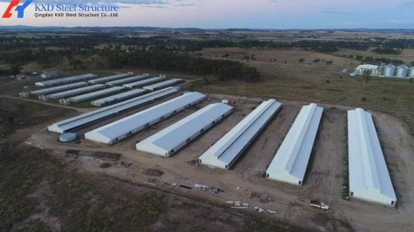Buy cheap Steel Structure Space Frame Piggery Shed , Cow House Shed Farm Building from wholesalers