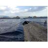 Buy cheap 30 Mil PVC Geomembrane Liner Waterproof Membrane Pond Liner For Swimming Pool from wholesalers