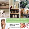 Buy cheap Natural Air Purification with Activated Bamboo Charcoal Bags OEM and MSDS Certified from wholesalers