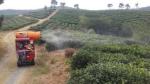 Herbicides Automatic Agricultural Pesticide Spraying Robot Fertilizers