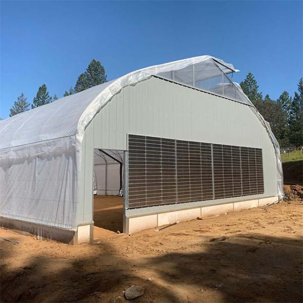 Buy cheap Blackout Mushroom Single-span Tunnel Light Deprivation Greenhouse For Agriculture from wholesalers