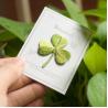 Buy cheap Custom Botanical Iron-On Patches - Nature Quotes & Eco-Friendly Style from wholesalers