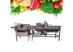304 SS Vegetable Fruit Washing Machine Salad Cleanning Equipment
