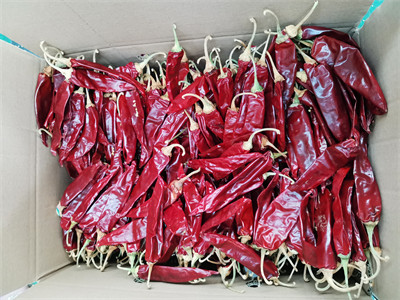 Salsas Dried Guajillo Chili Spicy Flavor 11cm Red Jinta Chilli Pepper