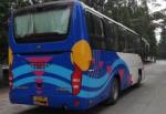 260HP Used Yutong Buses 100km / H Max Speed 39 Seats 2010 Year 8995 X 2480 X