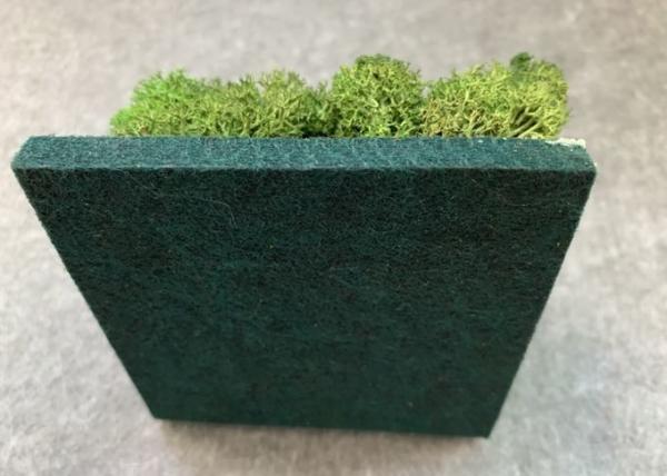 Buy cheap Green Plant Decorative Acoustic Panels Soundproofing Light Weight Easy To Dust from wholesalers
