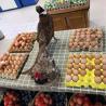 Buy cheap Big capacity waste paper tray forming machine for egg tray fruit tray from wholesalers