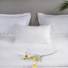 Buy cheap Soft Hotel Goose Down Pillows , Hotel Luxury Collection Pillows Feather Anti - Snore from wholesalers