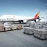 Buy cheap Forward Air Shipping DDU Or DDP Companies Freight From China To Philippines from wholesalers