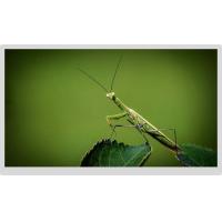 Buy cheap 30 Pins Lvds 21.5 LCD Panel 5v 1920x1080 Display Wide Viewing Angle product