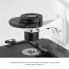 Buy cheap Inverted Fluorescence Led Digital Microscope from wholesalers