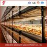 Buy cheap High Durability Poultry Broiler Chicken Cage System 112 Birds Iris from wholesalers
