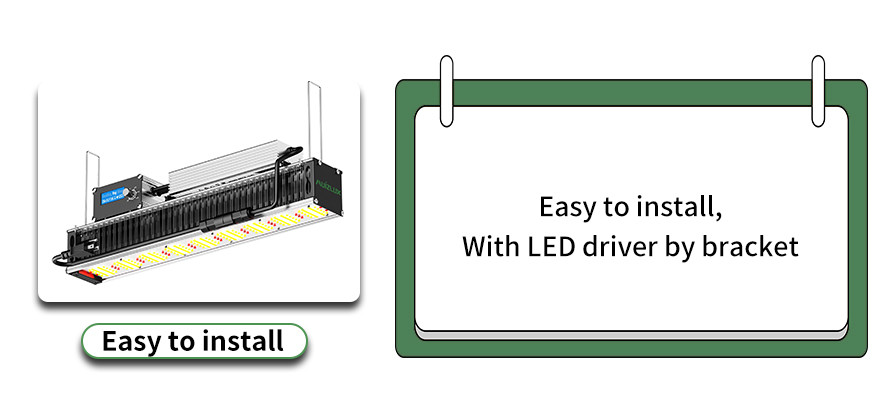 SL01 LED toplighting High Output LED horticultural Lighting for Greenhouse Medicinal