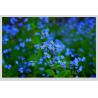 Buy cheap 12.1 Inch Lcd Screen 1280x800 Lvds Interface 20 Pins Industrial Medical Lcd from wholesalers