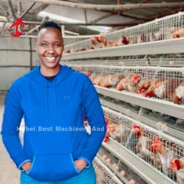 Buy cheap Galvanized Steel Layer Chicken Cage System Sandy from wholesalers