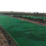 Made Parking Lot Road HDPE Grass Paving Grids for Noble Living Community Roof