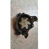 Buy cheap ME035138 ME075046 ME075132 Engine Water Pump For MITSUBISHI 6D14 6D15 6D16 6D17 Fk415 Fk416 Fk417 from wholesalers