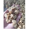 Buy cheap Delta ABB Vegetarian Meat Soybean Protein Machine Soya Extruder 1500kg from wholesalers