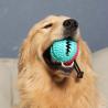 Buy cheap Chewy Dispensing Proof Dog Puzzle Training Ball On Rope For Dogs Puppies from wholesalers