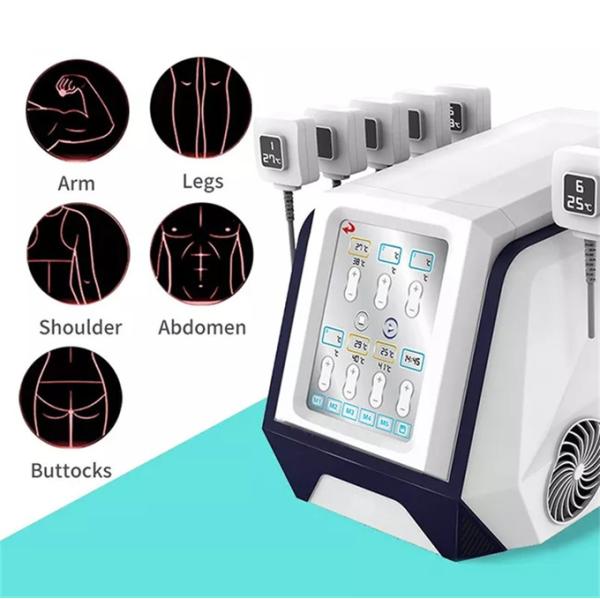 2mhz Rf Beauty Equipment Cellulite Reduction Muscle Building