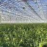 Buy cheap Glass Greenhouse Hydroponic System for Vegetables and Flowers Advanced Technology from wholesalers
