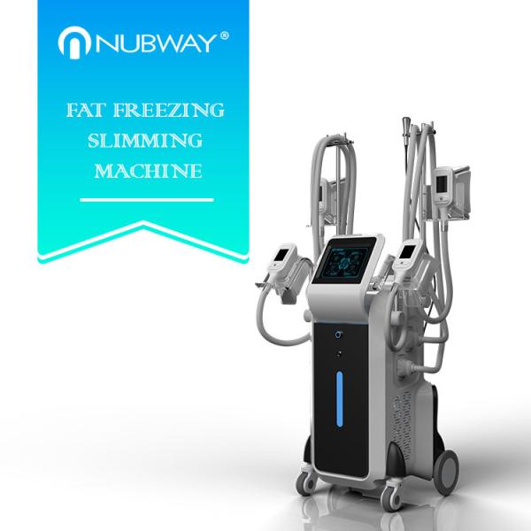 Buy cheap Fat freezing Cryolipolysis machine for whole body fat reduce from wholesalers