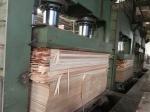 Fancy Wood Veneer Santos Rosewood Man-Made Veneer Sheet 2050-3200mm For Musical