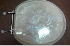 Buy cheap pear shell decor toilet seat cover from wholesalers