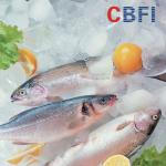 22mm 80 Tons Ammonia Tube Ice Machine In Food Preservation