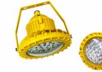 European Certification Explosion Proof LED Light Fixture 60w 80w 100w 150w