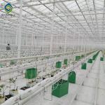 Shading System 6.0m Multi Span Greenhouse For Tomatoes