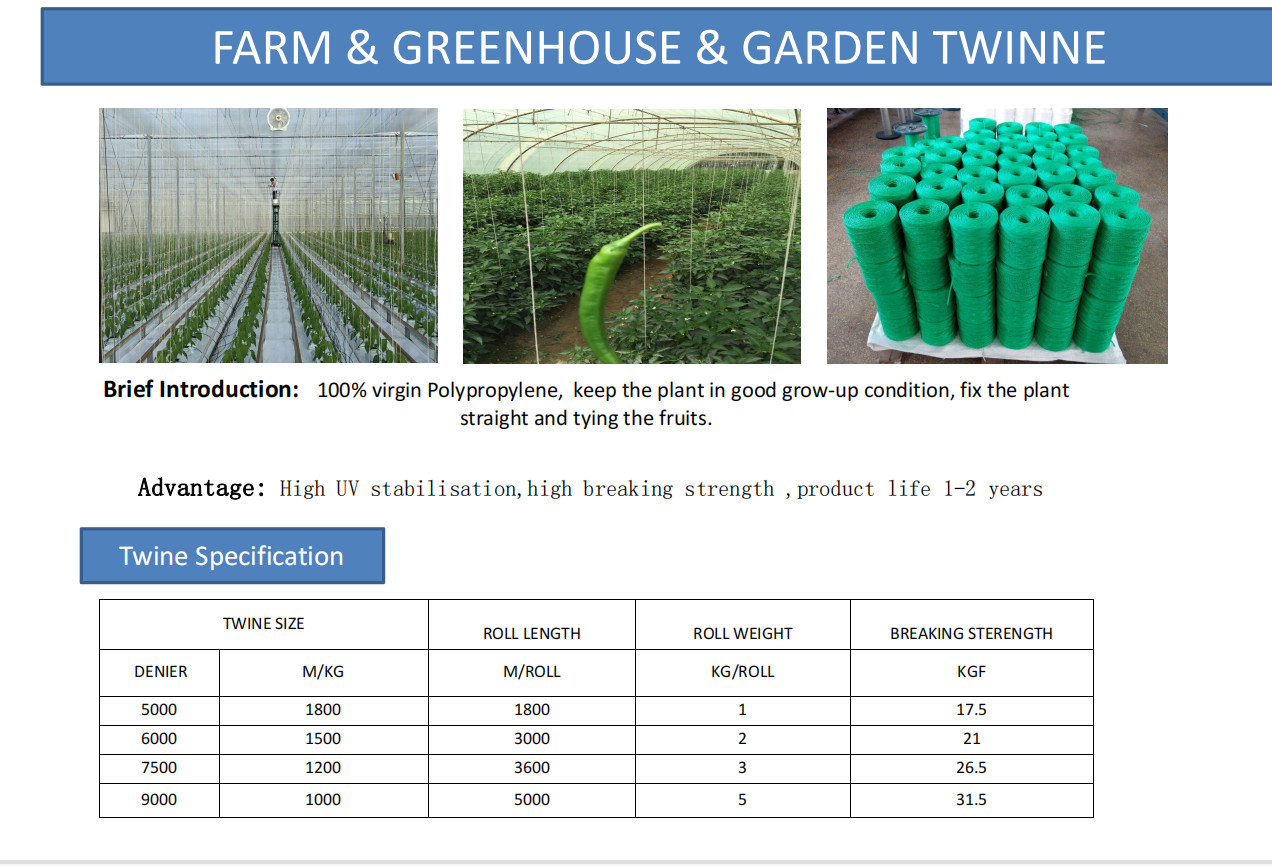 Eggplant Greenhouse Horticulture Vegetable Fruit Plastic PP Twine Rope UV Treated