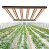 Buy cheap 480W Samsung LM301H Horticulture LED Grow Lights For Greenhouse from wholesalers