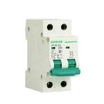 IEC60898 Australia 2P DZ47-63 AC MCB Switch