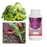 Biological Whitefly Tomato Insecticide Pure SeNPV Organic Pesticide Pest killing