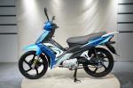 8000rpm 110cc Cub Motorbike 5 Bones Touring Motorcycles Alloy Wheel Disc Brake