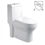 White Bathrooms Toilets Single Flush Elongated Skirted One Piece Toilet Bowl