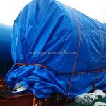 Versatile Silvery Green PE Tarpaulin for Garden Balcony and Terrace Protection