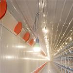 SGS Egg Battery Layer Chicken Cage Poultry Farm Corrosion Resisting