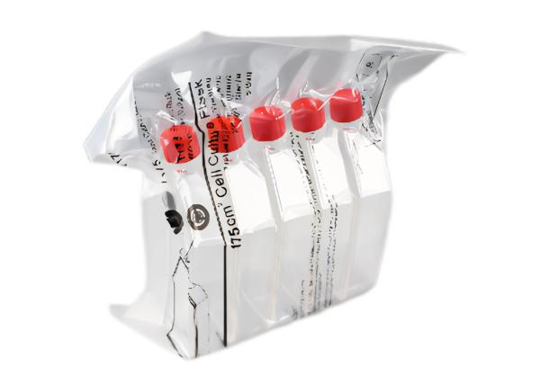 Buy cheap CE And ISO Certification Laboratory Plastic Cell Tissue Culture Flask from wholesalers