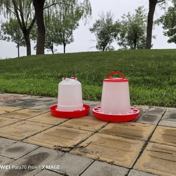 Buy cheap Ducks Care Freestanding Poultry Feeder For 30 KG from wholesalers