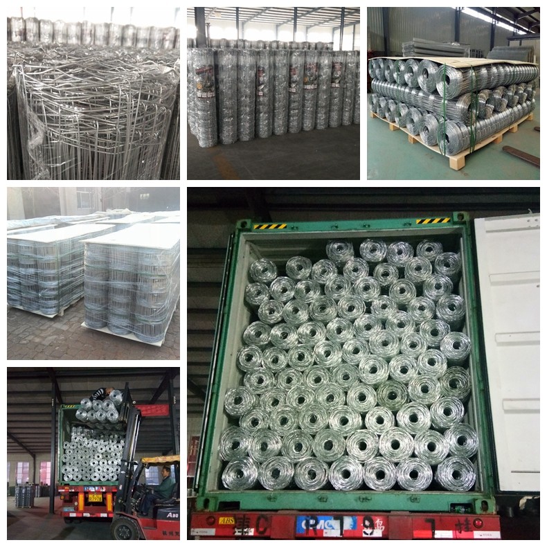 Height 900mm ~ 2200mm Field Hinge Joint Fence Farming Galvanized Iron Wire