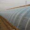 Buy cheap Square Meter Commercial Cucumber Cultivation Sunlight Greenhouse Solution with Output from wholesalers