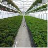 Buy cheap Easy Installation Garden Greenhouses With 3-5 Years Lifespan from wholesalers