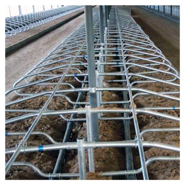 Buy cheap Animal Single Type Free Stall Barn Hot Dip Galvanized Pipe from wholesalers