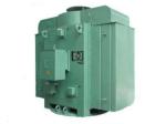 200kw 250kw 3 Phase Brushless AC Motor 6000V Slip Ring Wound Rotor Motor